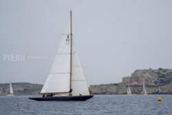 Vire-Vire-BPMED-2024-9