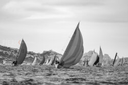 Vire-Vire-BPMED-2024-209