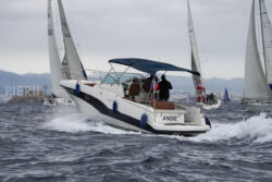 Vire-Vire-BPMED-2024-210