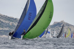 Vire-Vire-BPMED-2024-213