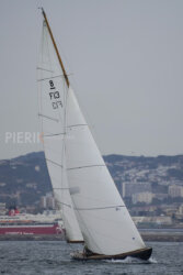 Vire-Vire-BPMED-2024-233