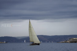 Vire-Vire-BPMED-2024-263