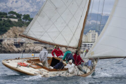 Vire-Vire-BPMED-2024-271