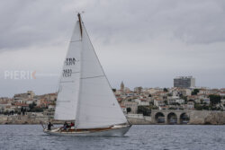 Vire-Vire-BPMED-2024-275