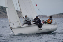 Vire-Vire-BPMED-2024-313