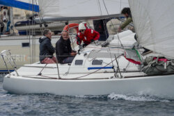 Vire-Vire-BPMED-2024-353