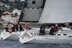 Vire-Vire-BPMED-2024-357