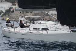 Vire-Vire-BPMED-2024-372