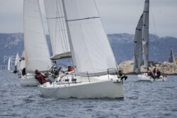 Vire-Vire-BPMED-2024-375