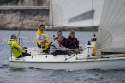 Vire-Vire-BPMED-2024-383