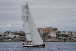 Vire-Vire-BPMED-2024-391