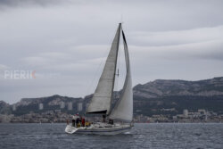 Vire-Vire-BPMED-2024-414