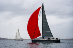 Vire-Vire-BPMED-2024-438