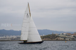 Vire-Vire-BPMED-2024-457