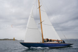 Vire-Vire-BPMED-2024-460