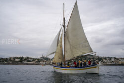 Vire-Vire-BPMED-2024-482