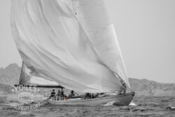 Voiles-du-vieux-Port-2021 (89)