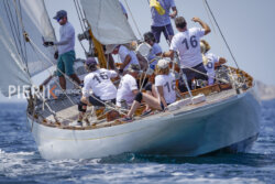 Voiles du Vieux Port 2023