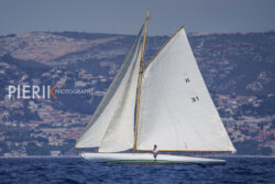 VVP-2023-202