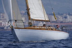 VVP-2023-203