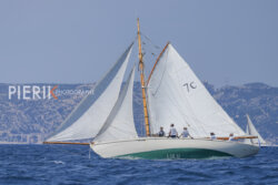 VVP-2023-766