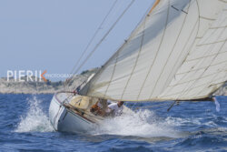 VVP-2023-782